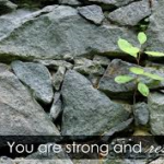 Strong and Resilient