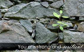 Strong and Resilient